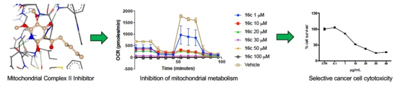 RESEARCH – TRIPPIER LAB