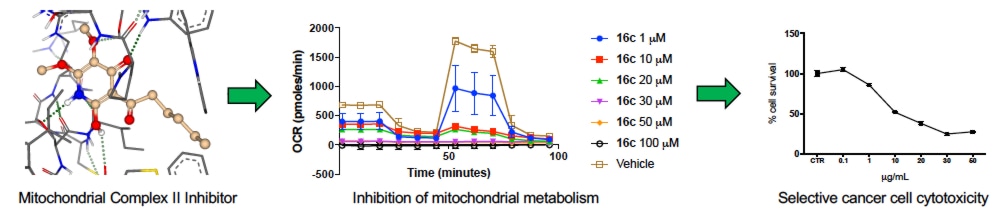 complex-ii-website_orig
